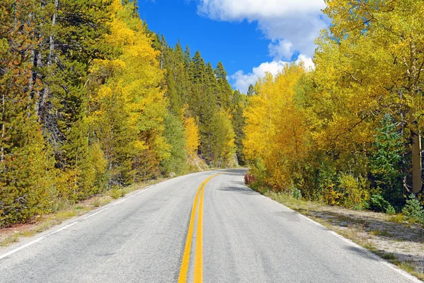 Aspen dorado y follaje otoñal en las montañas rocosas — Foto de Stock