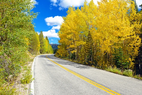 Aspen dorado y follaje otoñal en las montañas rocosas — Foto de Stock