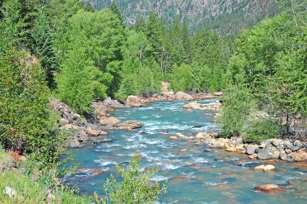 "Un fiume scorre attraverso di essa "- Pristine Pesca a mosca in montagna — Foto Stock