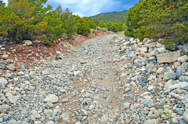 Camino de la suciedad para 4x4 offroad en las montañas — Foto de Stock