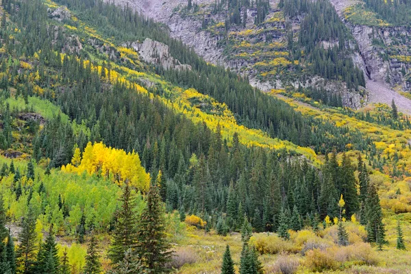Herbstfarben in den felsigen Bergen — Stockfoto