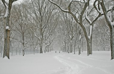 Manhattan kar: sırasında kış kar fırtınası, new York'taki central park