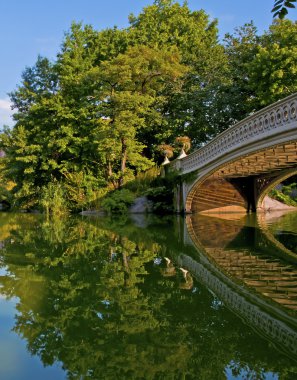 Köprü ve gölet, central park, manhattan new york yay