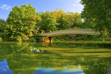 Köprü ve gölet, central park, manhattan new york yay