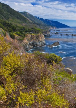 Big sur kıyı şeridi, Kaliforniya, ABD
