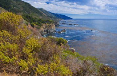 Big sur kıyı şeridi, Kaliforniya, ABD