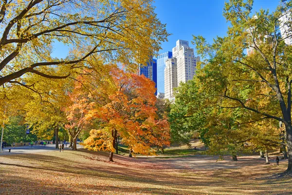 Color de otoño: Follaje de otoño en Central Park, Manhattan Nueva York — Foto de Stock