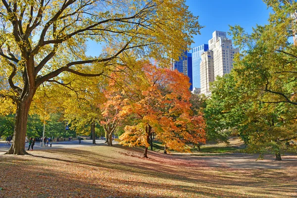 Podzimní barvy: podzim listí v central parku, manhattan new york — Stock fotografie