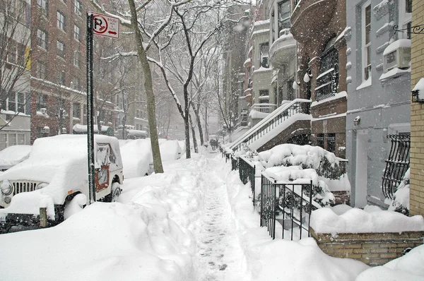 曼哈顿在雪地里： 在冬季暴风雪，纽约市的中央公园 — 图库照片