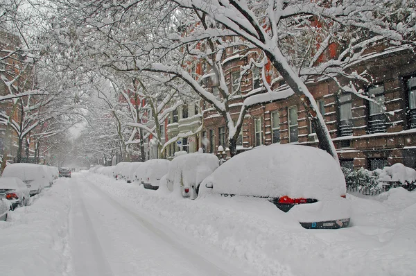 Manhattan en la nieve: Central Park durante un invierno Blizzard, Nueva York —  Fotos de Stock