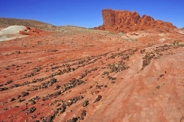 Röd rock landskap, sydvästra usa — Stockfoto