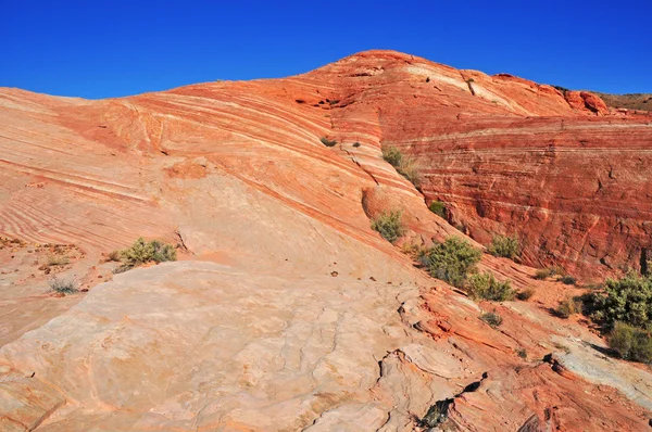 Paysage rocheux rouge, sud-ouest des États-Unis — Photo