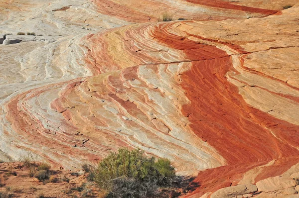 Röd rock landskap, sydvästra usa — Stockfoto