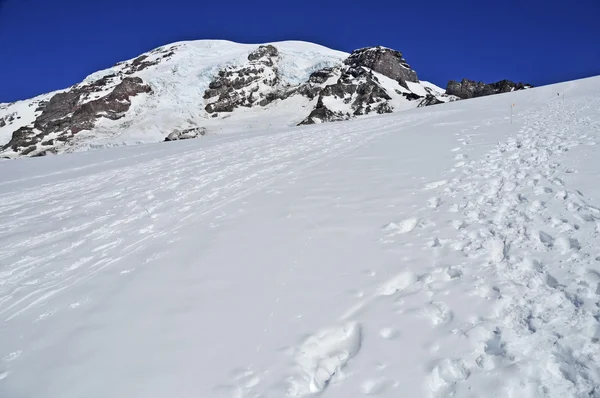 Mount Rainier, Cascade Mountains, Stato di Washington, Stati Uniti — Foto Stock