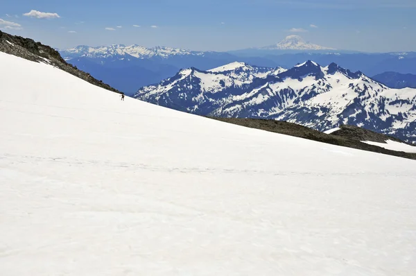 Lone climber on Muir snowfield, Mount Rainier, Cascade Mountains, Washington State, USA — Stock Photo, Image