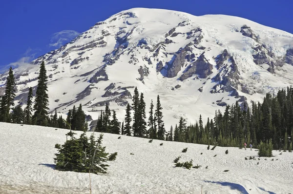 Monte Rainier, Montañas Cascade, Estado de Washington, EE.UU. — Foto de Stock