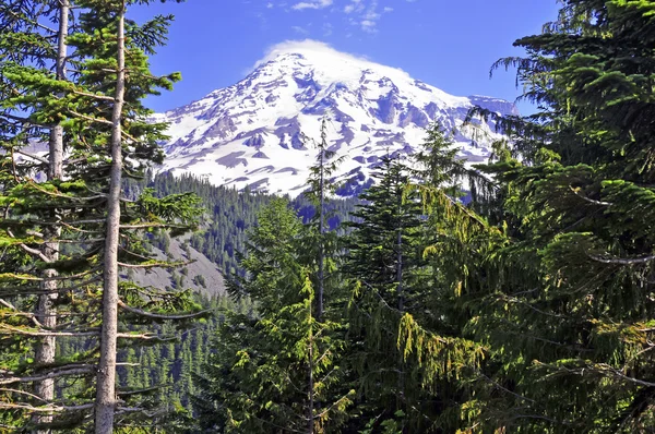 Mount Rainier, Cascade Mountains, Washington State, Usa — Stockfoto