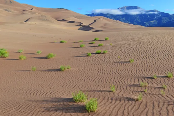 Le increspature formate dal vento nelle dune di sabbia — Foto Stock