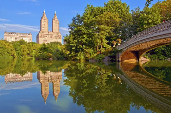 Köprü ve gölet, central park, manhattan new york yay