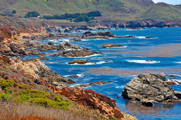 ビッグ ・ サーの海岸、カリフォルニア、米国 — ストック写真