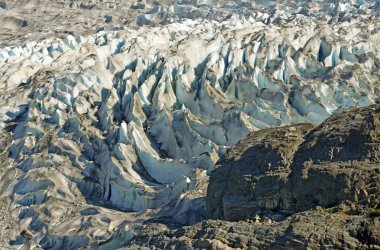 Mendenhall Buzulu, tongass Milli Ormanı, alaska