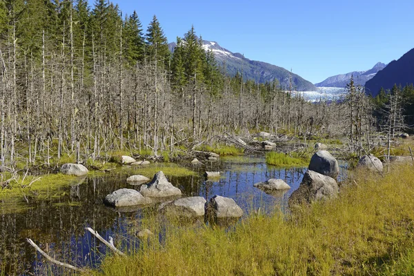 Paisaje salvaje en Alaska — Foto de Stock