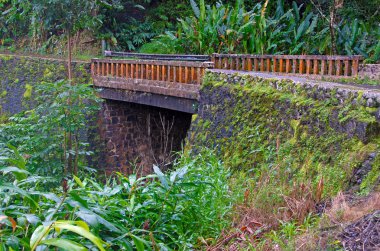 Bridge on the Road to Hana, Maui, Hawaii clipart