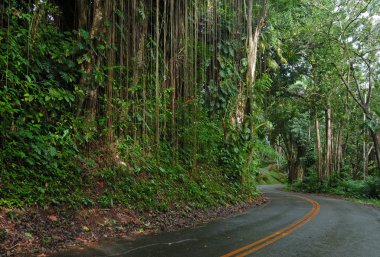 yolda sürüş hana, maui, hawaii
