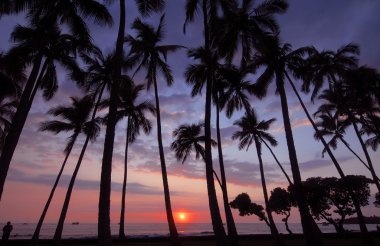 Sunset with red sky in Hawaii clipart