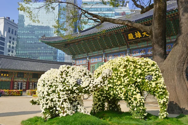 Traditionelle und moderne Architektur in seoul, Südkorea — Stockfoto