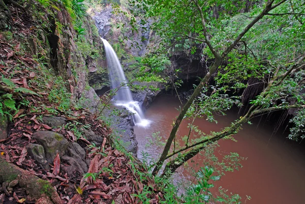 Abgelegener Wasserfall im Regenwald, Hawaii — Stockfoto