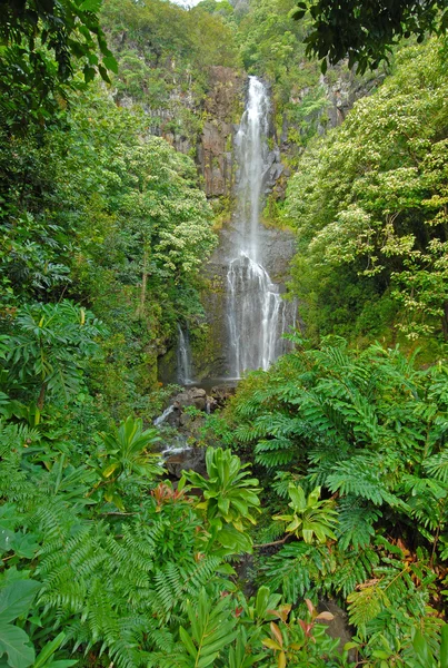 Cascada de la distanță în pădurea tropicală, Hawaii — Fotografie, imagine de stoc