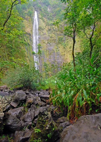 Cascada de la distanță în pădurea tropicală, Hawaii — Fotografie, imagine de stoc