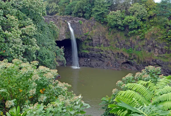 Cascada remota en la selva tropical, Hawai — Foto de Stock