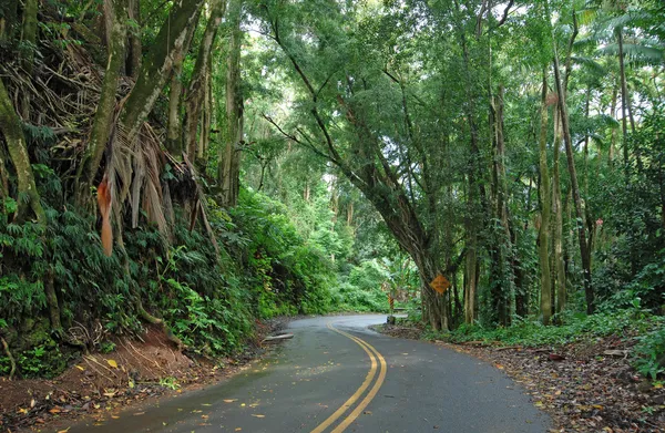 Driving on the Road to Hana, Maui, Hawaii — Stock Photo, Image