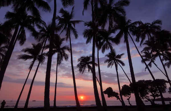 Sunset with red sky in Hawaii — Stock Photo, Image