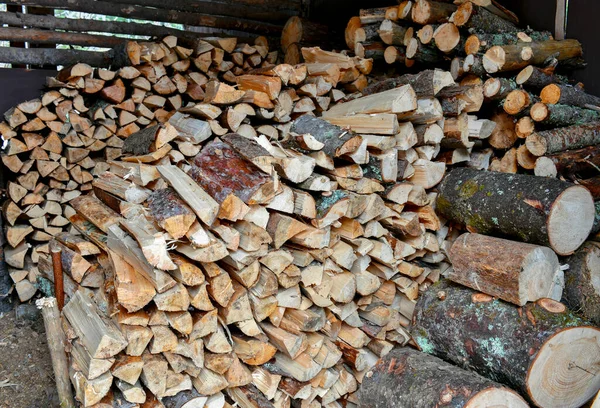 Stacks Split Firewood Cord Wood — Stock Photo, Image