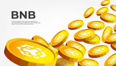 Binance Coin (BNB) şifreleme konsepti pankart arkaplanı.
