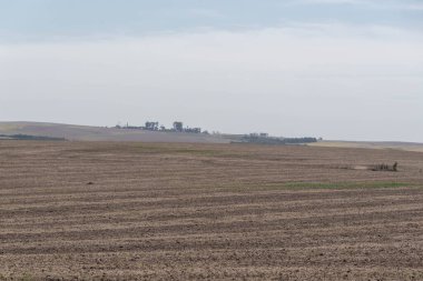 Soya fasulyesi ekiyorum. Ekin rotasyonu. tahıl üretim alanı. Çiftçi. Yok-til. Dünya için yiyecek..