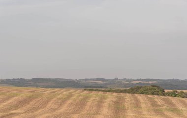 Soya fasulyesi ekiyorum. Ekin rotasyonu. tahıl üretim alanı. Çiftçi. Yok-til. Dünya için yiyecek..