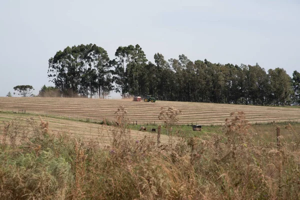 Jordbruksmaskin Spannmål Sådd Åtgärder Brasilien Sojabönsplantering Liten Lantlig Fastighet Spannmålsproduktion — Stockfoto