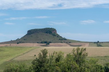 Brezilya 'da otlaklar, sığır yetiştirme ve jeolojik oluşum. So Pedro do Sul belediyelerinde Paleobotanik alanı var. Kırsal alan. Tarım üretim alanı