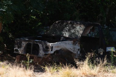 Ormanda terk edilmiş bir araba.