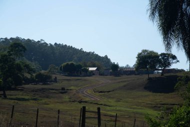 Doğanın güzel manzarası
