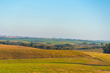 Dini antik mimari. Brezilya 'nın güneyindeki antik kilisede pedro do sul brerazil. Dini turizm