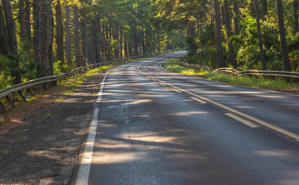 Strada Vuota Nella Foresta — Foto Stock