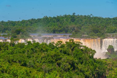 Brezilya 'daki Iguau River Ulusal Parkı. Brezilya tarafındaki Iguazu Şelalesi manzarası. Echologic Park 'ta. Eko-turizm. Dünya harikaları. Fauna ve Flora. Ekolojik rezerv