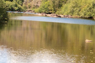 Güney Brezilya 'da kırsal pampa biyolojisi. Çevresel koruma alanı. Rio Grande do Sul RS Brezilya. Kırsal turizm. Tahıl üretim alanları.