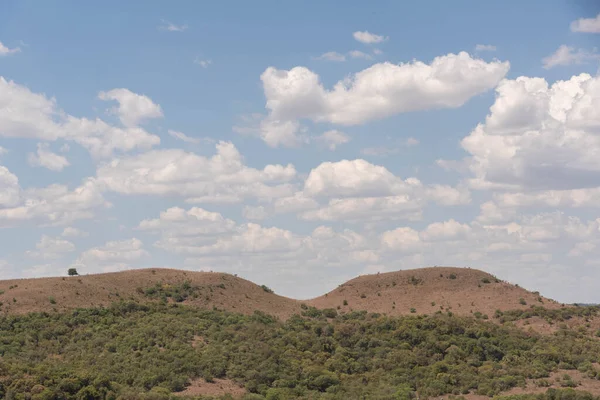 Güney Brezilya 'da kırsal pampa biyolojisi. Çevresel koruma alanı. Rio Grande do Sul RS Brezilya. Kırsal turizm. Tahıl üretim alanları.