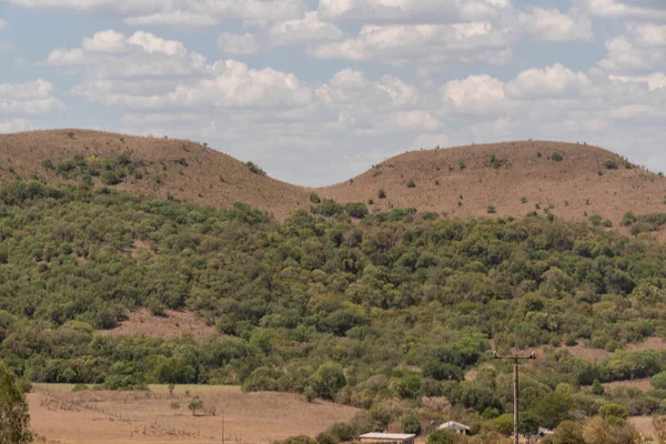 Güney Brezilya 'da kırsal pampa biyolojisi. Çevresel koruma alanı. Rio Grande do Sul RS Brezilya. Kırsal turizm. Tahıl üretim alanları.